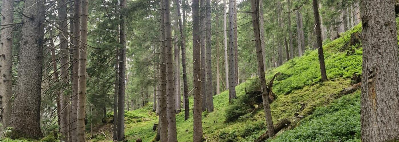 Wandertag